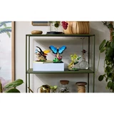 LEGO® Ideas The Insect Collection 21342 (9/10)