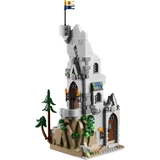 LEGO® Ideas Dungeons & Dragons: l'histoire du dragon rouge 21348 (9/16) LEGO® Ideas Dungeons & Dragons: l'histoire du dragon rouge 21348 (9/16)