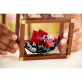 LEGO® Ideas Mineraliensammlung 21362 (13/16) LEGO® Ideas Mineraliensammlung 21362 (13/16)
