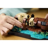 LEGO® Ideas Schwimmende Otter 21366 (13/34)