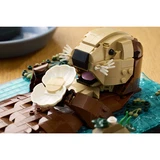 LEGO® Ideas Schwimmende Otter 21366 (14/34)