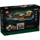 Drijvende zeeotters 21366 thumbnail-15