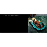 LEGO® Ideas Schwimmende Otter 21366 (33/34)