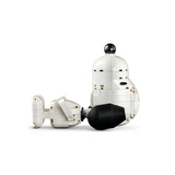 LEGO® Ideas Peanuts: Snoopy's hondenhok 21368 (5/33)