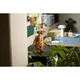 E. T. the Extra-Terrestrial 21370 thumbnail-12
