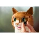 Le chat roux 21376 thumbnail-11