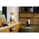 Le chat roux 21376 thumbnail-13
