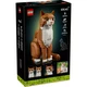 Le chat roux 21376 thumbnail-14