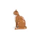 Le chat roux 21376 thumbnail-15