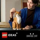 Le chat roux 21376 thumbnail-17