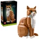 Le chat roux 21376 thumbnail-0