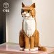 Le chat roux 21376 thumbnail-23