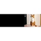 Le chat roux 21376 thumbnail-25
