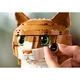Le chat roux 21376 thumbnail-27