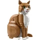 Le chat roux 21376 thumbnail-1