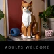 Le chat roux 21376 thumbnail-32