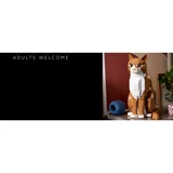 LEGO® Ideas Orange Cat 21376 (34/35) LEGO® Ideas Orange Cat 21376 (34/35)