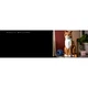 Le chat roux 21376 thumbnail-34