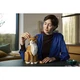 Le chat roux 21376 thumbnail-7