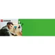Het skelet 21594 thumbnail-16 Het skelet 21594 thumbnail-16