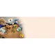 L'Évocateur à l'attaque du village 21596 thumbnail-23 L'Évocateur à l'attaque du village 21596 thumbnail-23
