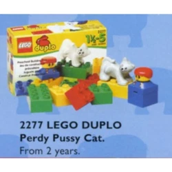 Boy with Cat 2277