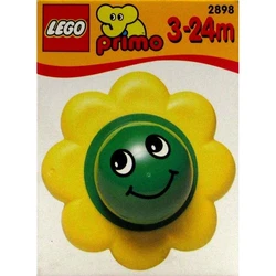 Flower 2898
