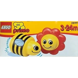 Bumblebee and Flower 2899