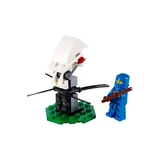 LEGO® NINJAGO Ninja Training 30082 (1/1)