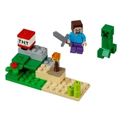 Steve and Creeper Set 30393