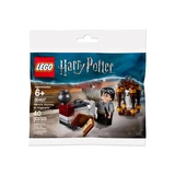 LEGO® Harry Potter™ Harry's Journey to Hogwarts 30407 (3/3)