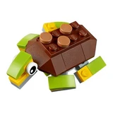 LEGO® Creator Happy Turtle 30476 (1/1)