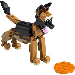 German Shepherd 30578