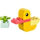 My First Duck 30673 thumbnail-1 My First Duck 30673 thumbnail-1
