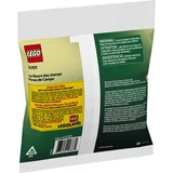 LEGO® Botanicals Field Flowers 30701 (3/3)