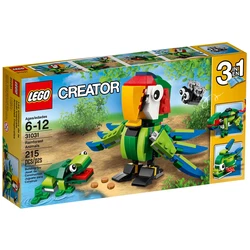 Rainforest Animals 31031