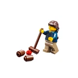 LEGO® Creator Changing Seasons 31038 (10/10)