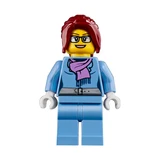 LEGO® Creator Modulares Wintersportparadies 31080 (11/12)