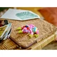 Exotic Pink Parrot 31144 thumbnail-10