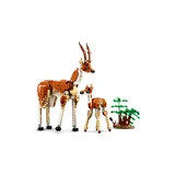 LEGO® Creator Wild Safari Animals 31150 (6/11) LEGO® Creator Wild Safari Animals 31150 (6/11)