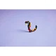 Wild Animals: Surprising Spider 31159 thumbnail-11 Wild Animals: Surprising Spider 31159 thumbnail-11