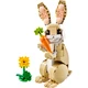 Lief konijn 31162 thumbnail-1