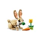 Lief konijn 31162 thumbnail-2