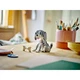 Playful Cat 31163 thumbnail-9 Playful Cat 31163 thumbnail-9