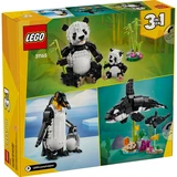 LEGO® Creator Animaux sauvages: la famille de pandas 31165 (10/10)
