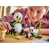 LEGO® Creator Animaux sauvages: la famille de pandas 31165 (6/10)