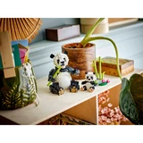 LEGO® Creator Animaux sauvages: la famille de pandas 31165 (7/10)