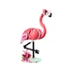 Animaux sauvages: le flamant rose 31170 thumbnail-1