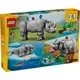 Wilde Tiere: Prächtiges Nashorn mit Vögeln 31171 thumbnail-9
