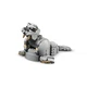 Wilde Tiere: Prächtiges Nashorn mit Vögeln 31171 thumbnail-3
